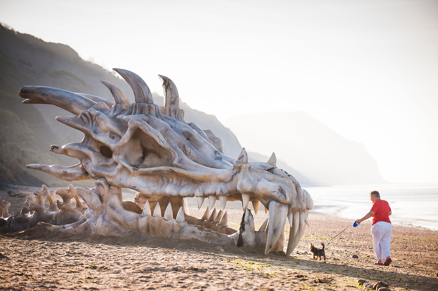 Череп дракона на пляже игра престолов