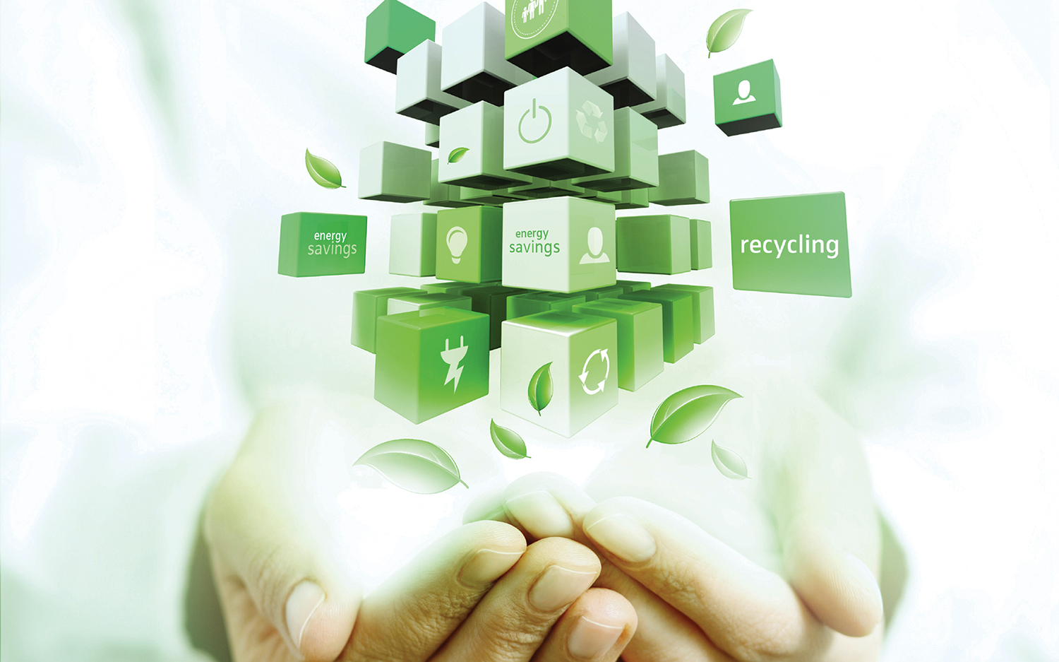 State Of Sustainability: The Evolution Of Eco-Friendly Practices