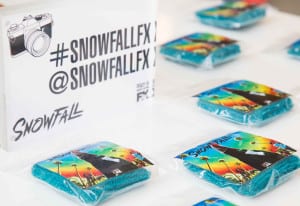 FX_Snowfall Launch 2017_19