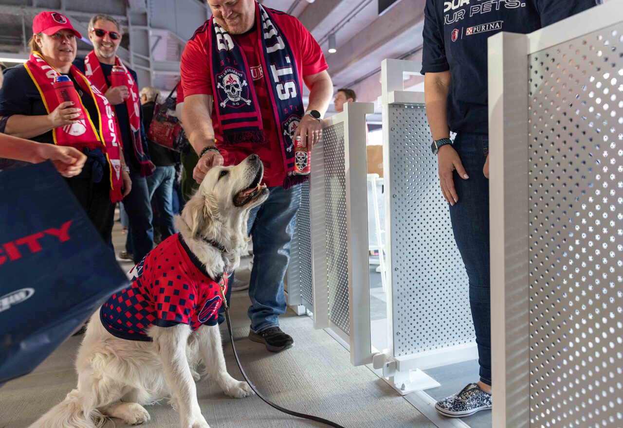 purina-club-st-louis-2023-dog-getting-pets