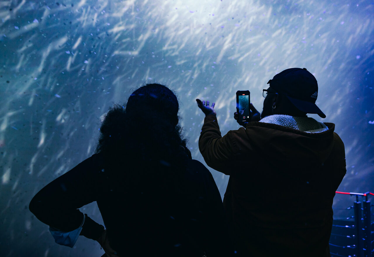 arrcteryx-new-york-man touches fake snow