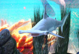 PBS_VidCon Baltimore_2023_animatronic shark