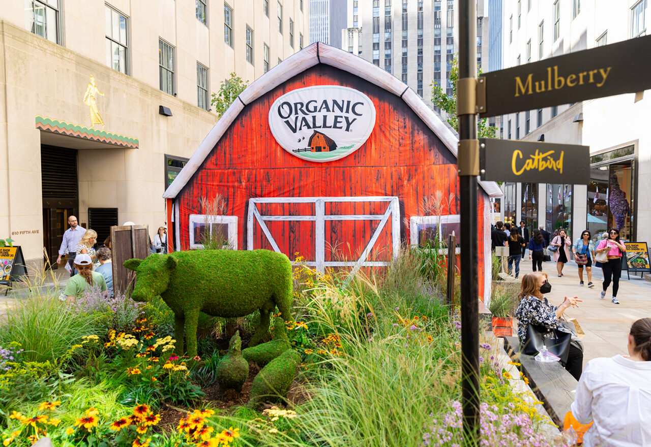 organic-valley-rock-center-farmers-market-barn-and-cow-installation