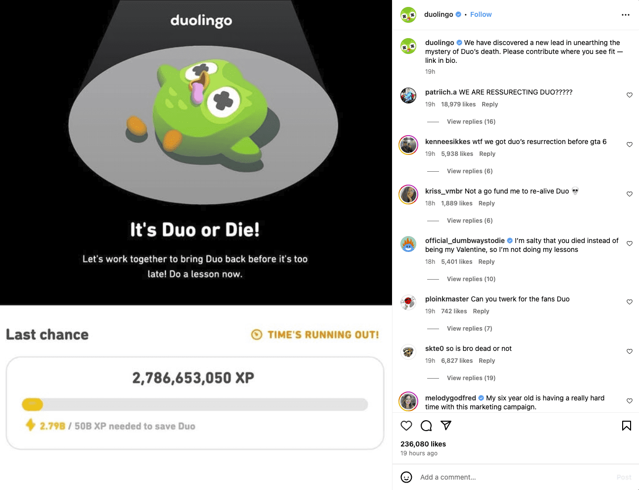 duolingo duo's death screenshot gofundme