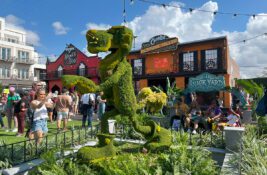 Chester Cheetah topiary